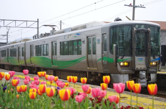 Ainokaze Toyama Railway(1)