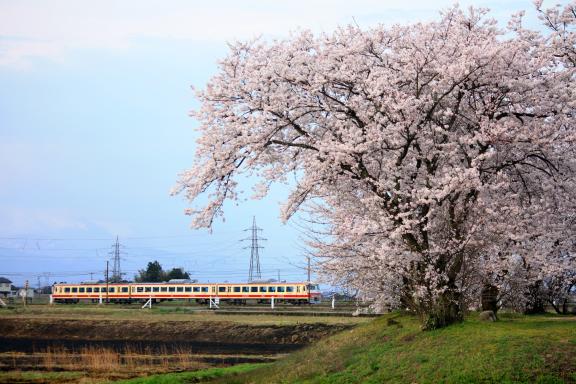Toyama Chihou Railway(15)
