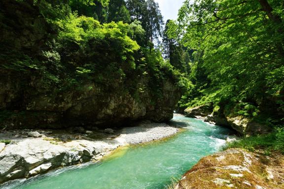 Kurobe Gorge Trolly Train(15)