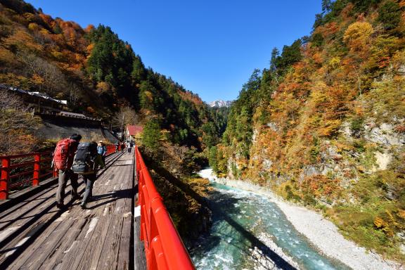 Kurobe Gorge Trolly Train(16)