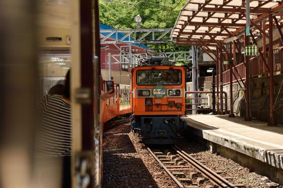 Kurobe Gorge Trolly Train(19)