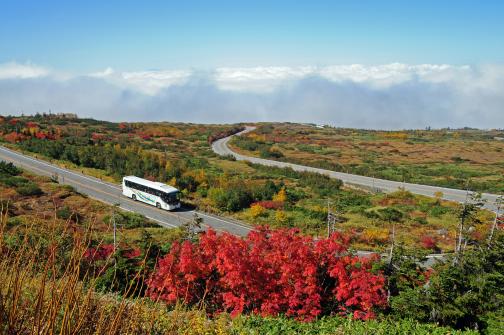 Tateyama Hinghland Bus(8)