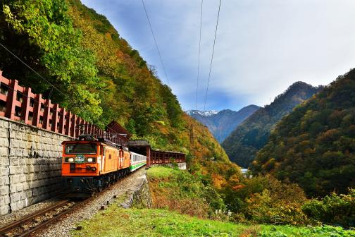 Kurobe Gorge Trolly Train(22)