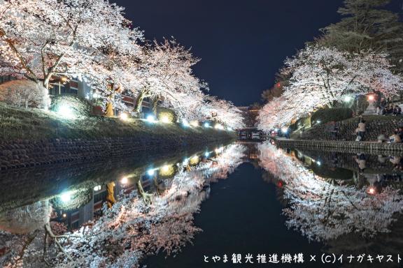 cherry blossom at Matsukawa River(1)