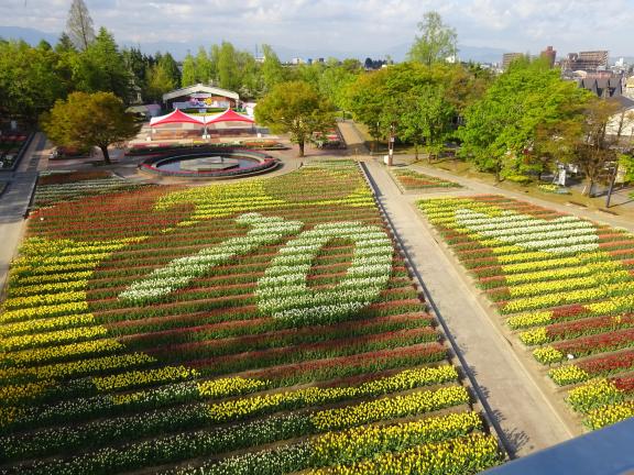 Tonami Tulip Fair(55)