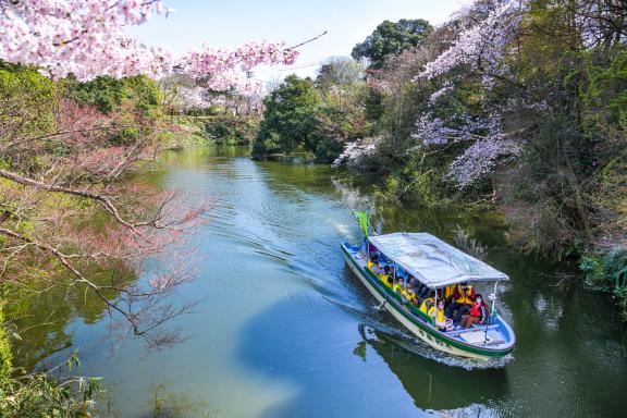 Takaoka Kojo Park(3)