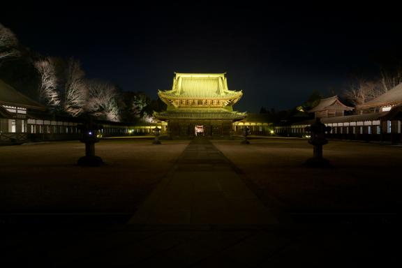 Zuiryu-ji Temple(4)