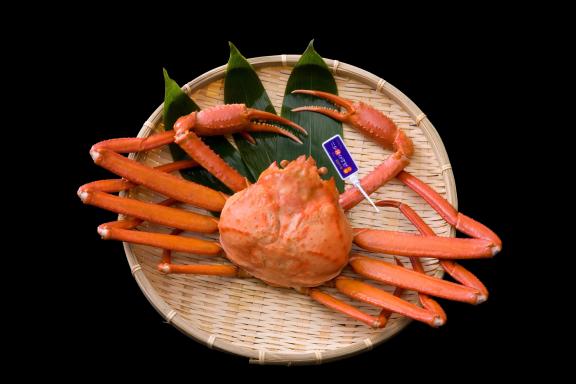 red snow crab(17)