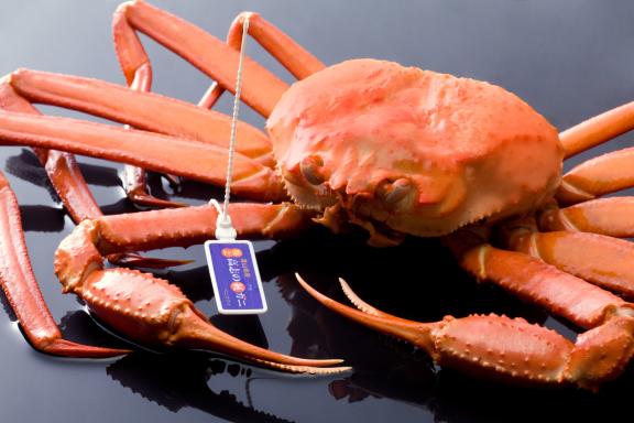 red snow crab(22)