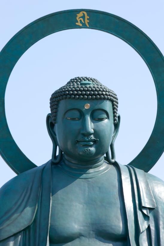 The Great Buddha of Takaoka(7)