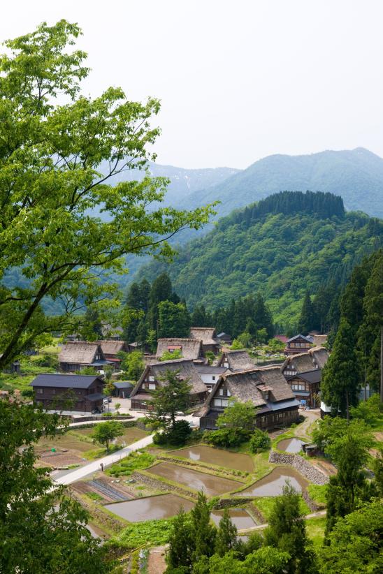 Ainokura Gassho-style Village(15)