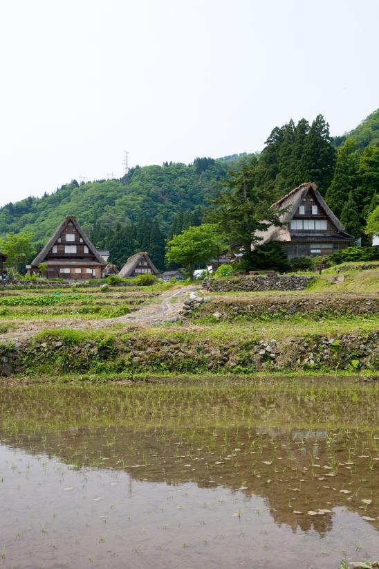 Ainokura Gassho-style Village(19)