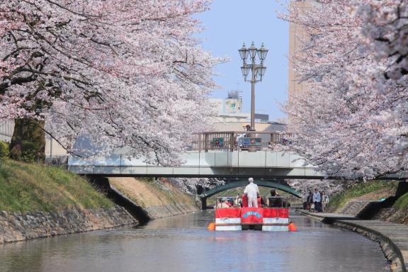 Matsukawa River Cruises(4)