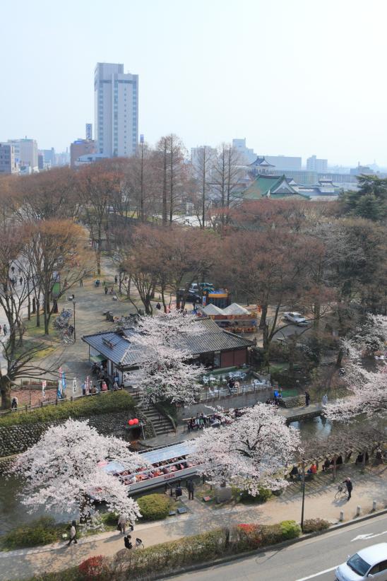 Cherry blossom in Matsukawa River(10)