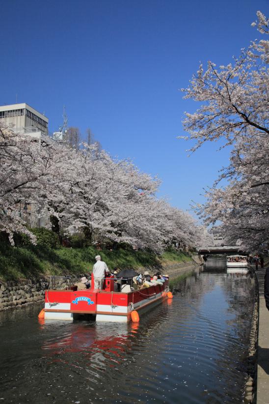 Matsukawa River Cruises(5)