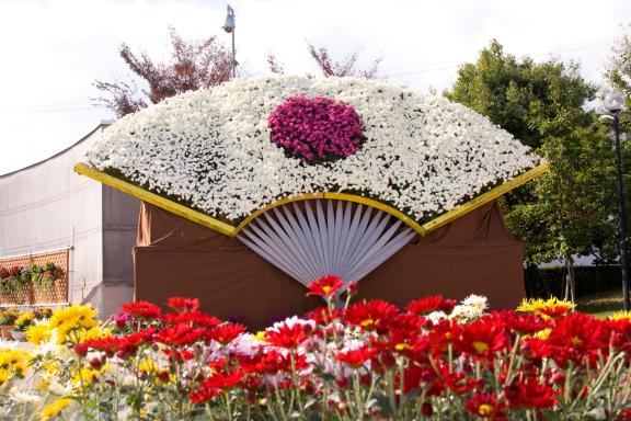 Nanto Chrysanthemum Festival(22)