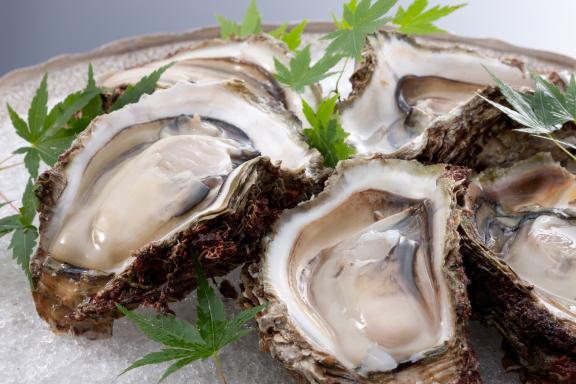 oyster(1)