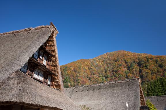 Suganuma Gassho-style Village(29)