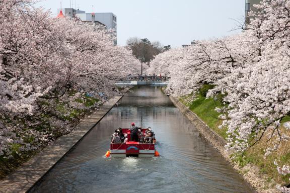 Matsukawa River Cruises(7)