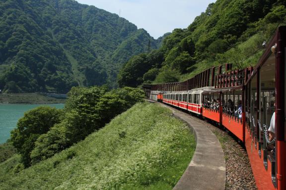 Kurobe Gorge Trolly Train(8)
