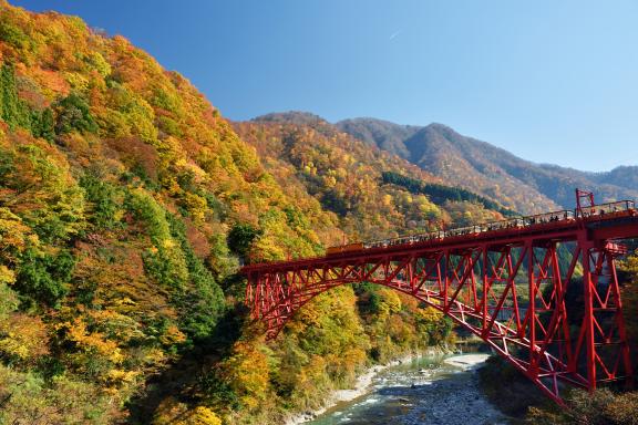 Kurobe Gorge Trolly Train(20)