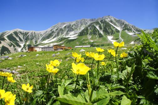 Murodo(Tateyana Kurobe Alpin Route)(1)