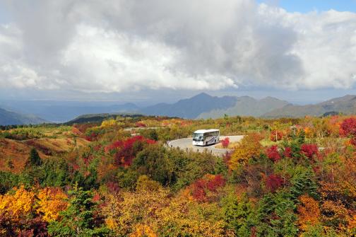 Tateyama Hinghland Bus(7)