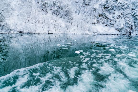 Shogawa Gorge(6)