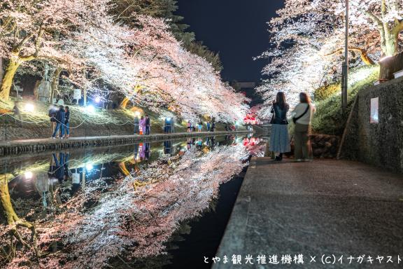 cherry blossom at Matsukawa River(2)