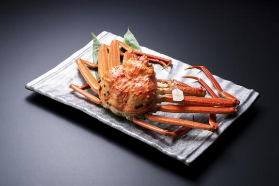 red snow crab(16)