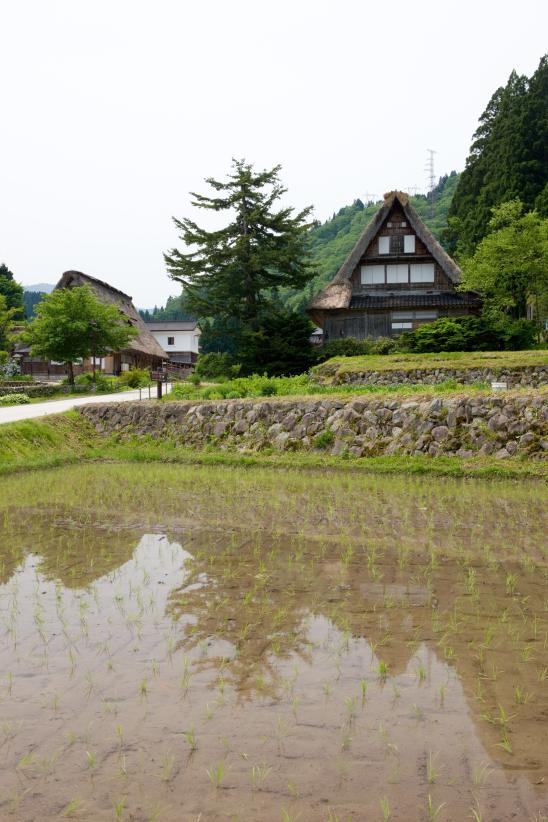 Ainokura Gassho-style Village(20)