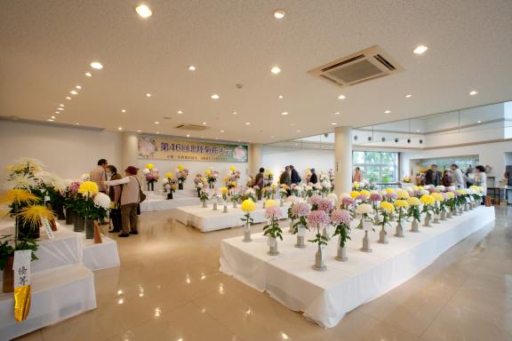 Nanto Chrysanthemum Festival(11)