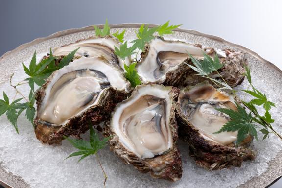 oyster(2)