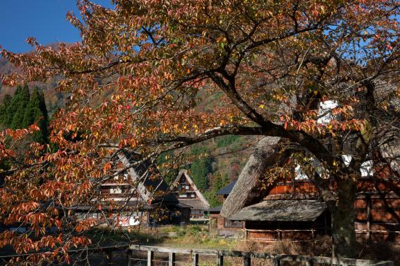 Suganuma Gassho-style Village(25)