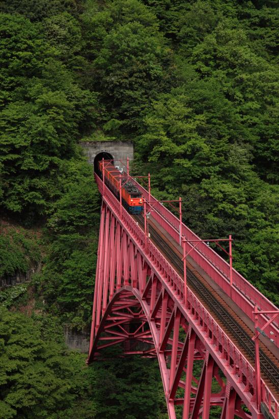 Kurobe Gorge Trolly Train(9)