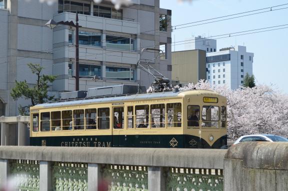 cherry blossom and CENTRAM(2)