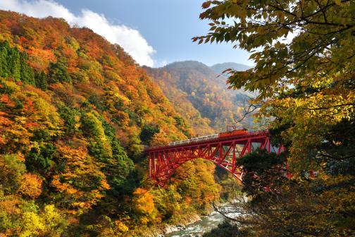 Kurobe Gorge Trolly Train(21)