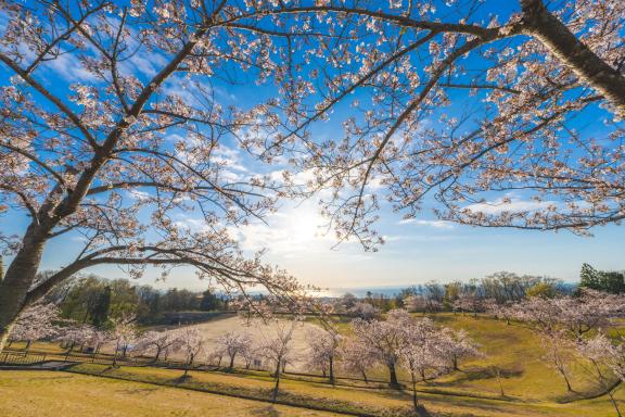 Uozu Momoyama Athletic Park(1)