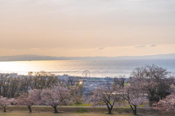 Uozu Momoyama Athletic Park(2)