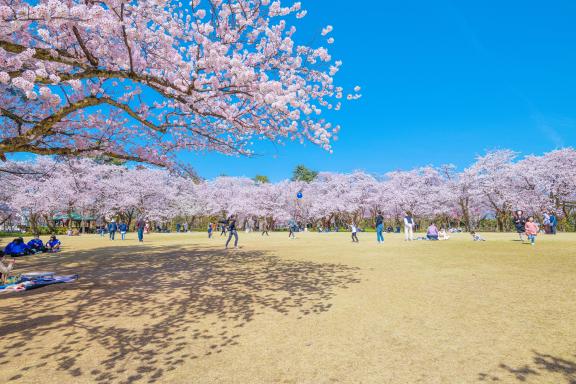 Takaoka Kojo Park(2)