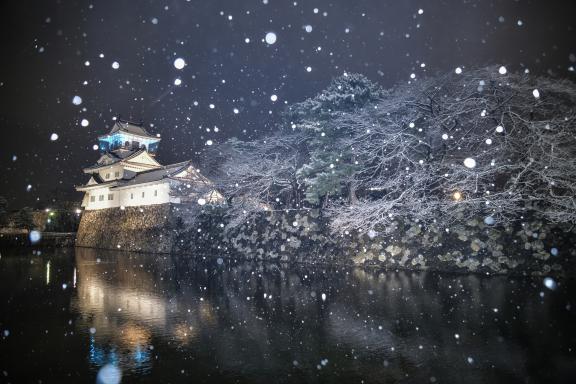 Toyama Castle(1)