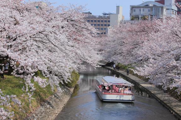 Matsukawa River Cruises(1)