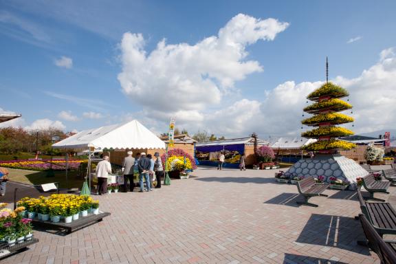 Nanto Chrysanthemum Festival(14)