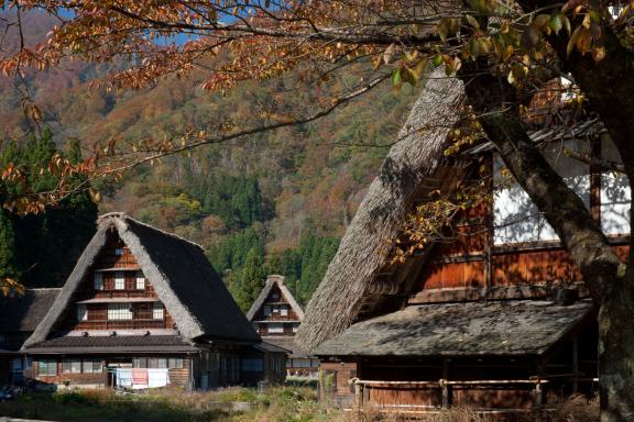 Suganuma Gassho-style Village(26)