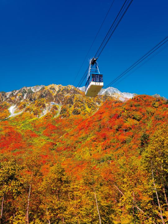 Tateyama Ropeway(39)