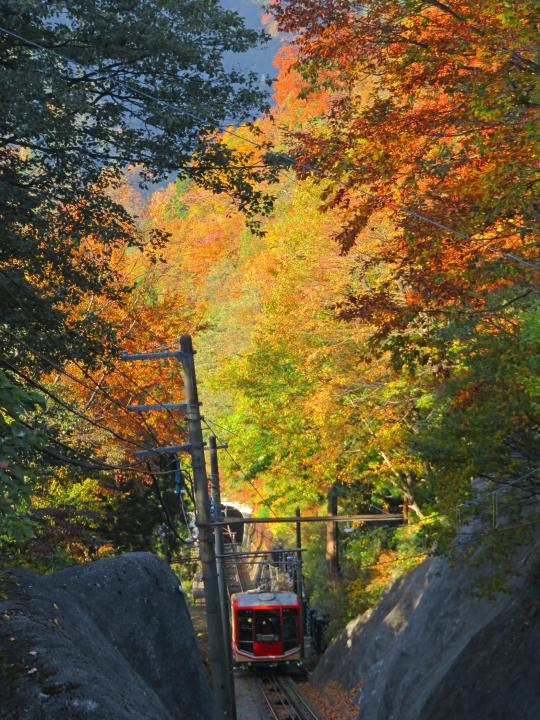 Tateyama cable car(4)