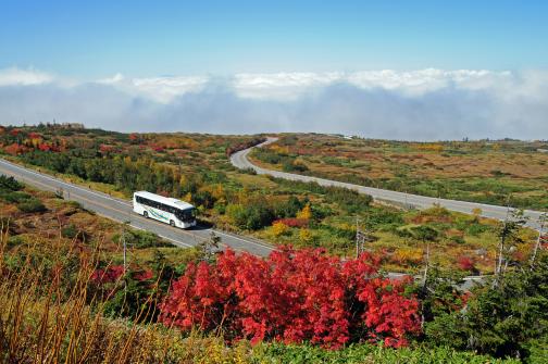 Tateyama Hinghland Bus(8)