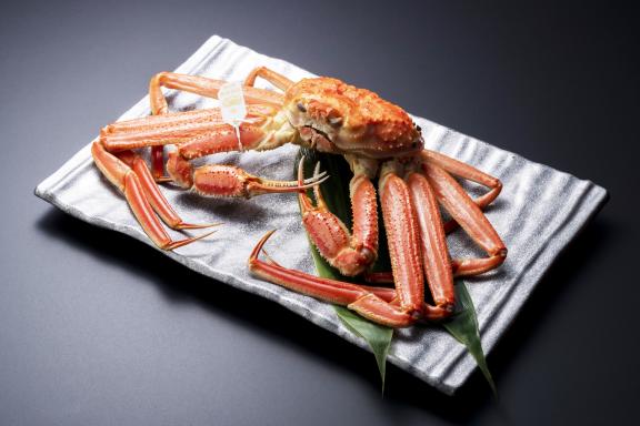 red snow crab(15)