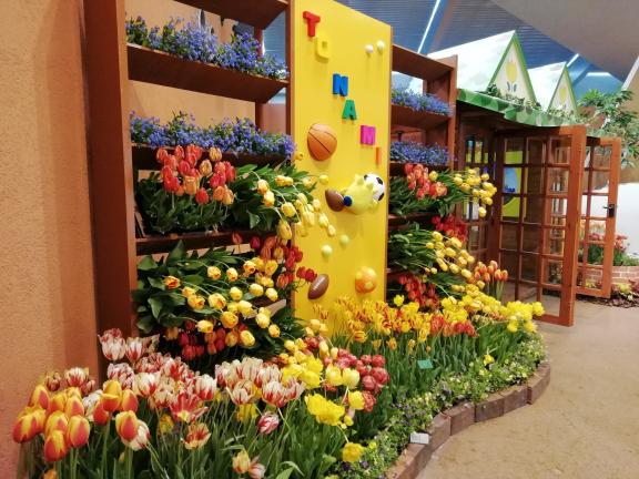 Tonami Tulip Gallery(19)