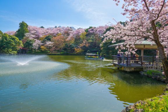 Takaoka Kojo Park(4)